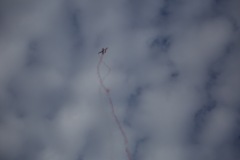 6A3A1074