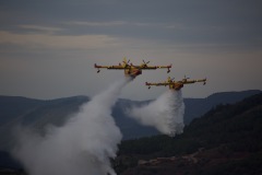 6A3A1092