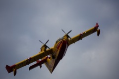 6A3A1097