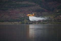 6A3A1135