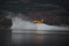 6A3A1139