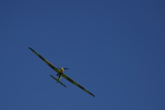 6A3A0955