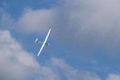 DSCF3174
