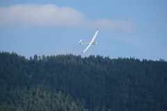 DSCF3181