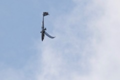 DSCF3196