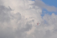 DSC_3880