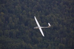6A3A0619