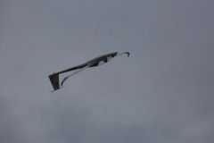 6A3A0634