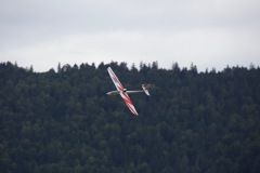 6A3A0665