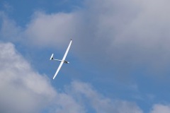 DSCF3174