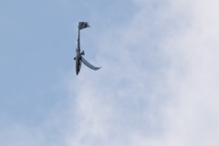 DSCF3196