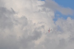 DSC_3880